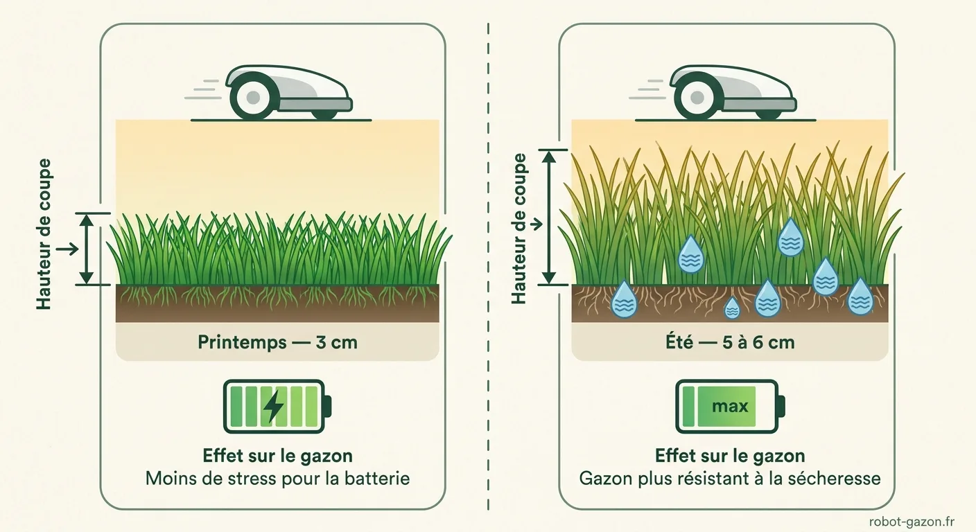 Schema Comparatif Hauteur De Coupe Printemps Ete Pour Robot 4